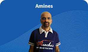 Amines course